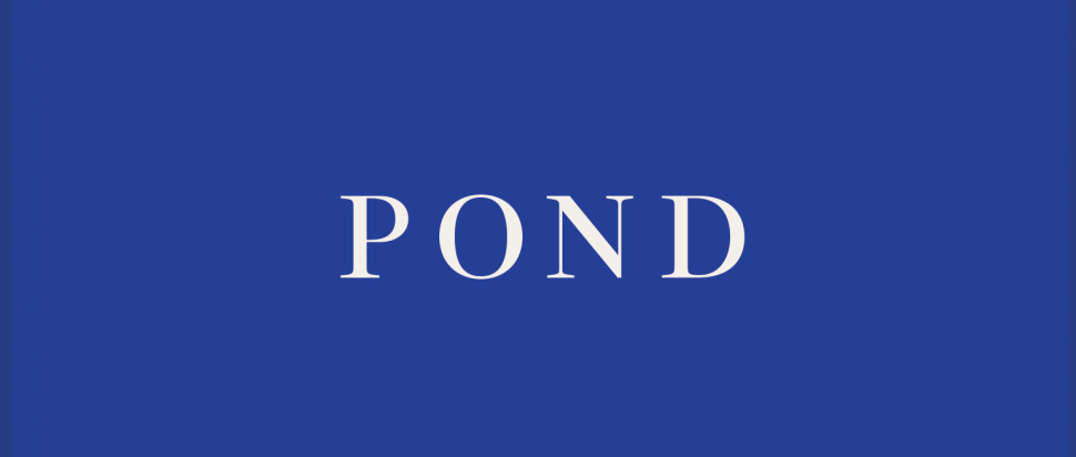 pond claire louise bennett review