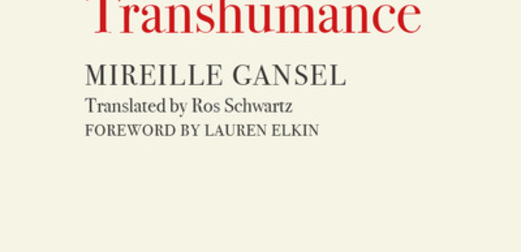 Translation as Transhumance