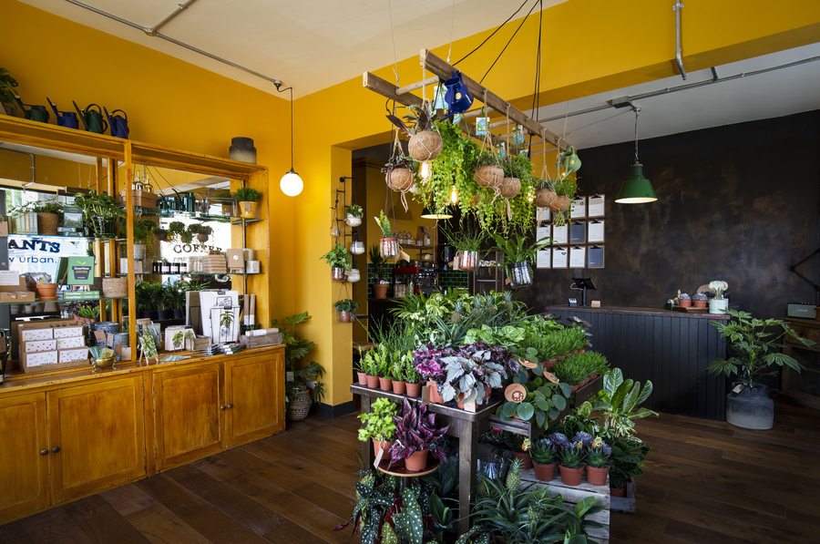 A plant shop, with bright yellow walls. A selection of potted plants are in the centre of the room, with a selection of accessories by the wall.