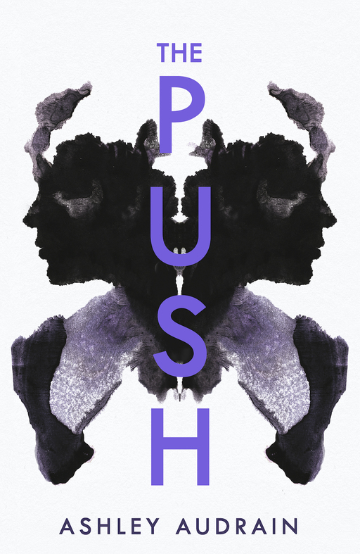 ashley audrain the push review