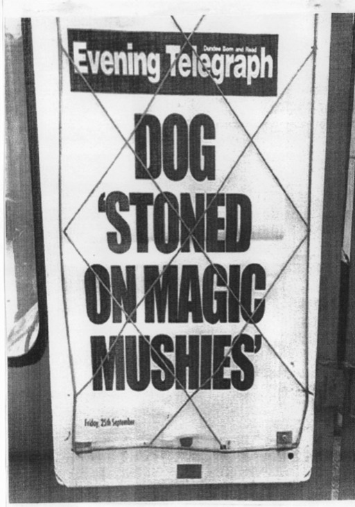A newspaper billboard with the headline 'Dog 'Stoned on Magic Mushies''