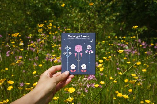 A hand holds a packet of seeds designed with floral illustrations, in front of a patch of yellow and purple wildflowers.