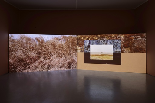 Installation view of At the shore, everything touches (2021) by Tako Taal at Dundee Contemporary Arts