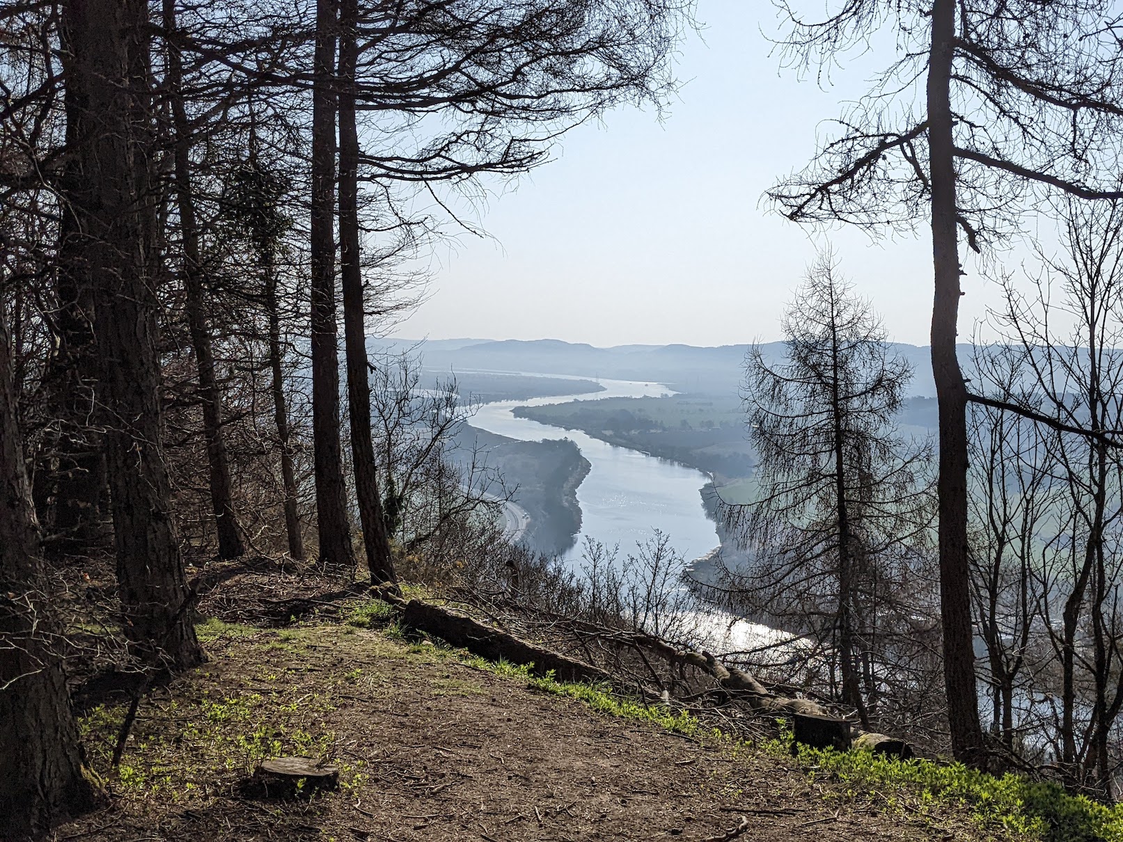A view down the River Tay through some trees in a hilltop clearing.