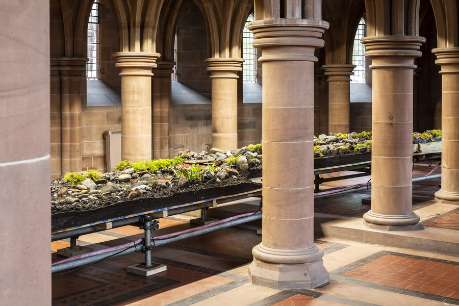 A long, elevated bed of plants and rocks runs between two sets of columns