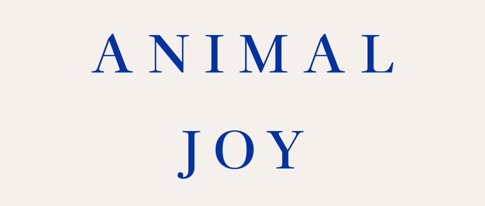 Animal Joy by Nuar Alsadir