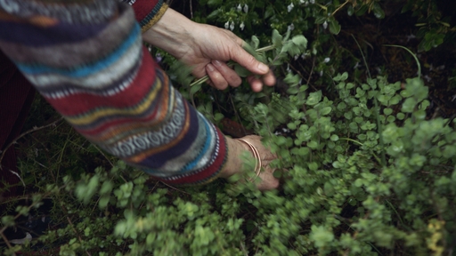 A screenshot from the film Foragers.