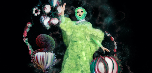 Macadam munching Haiku Army of Me: The sonic evolution of Björk - The Skinny
