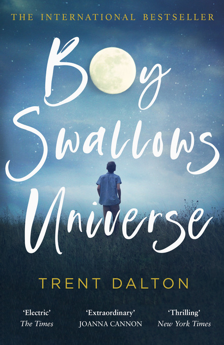 Cover image for Boy Swallows Universe.