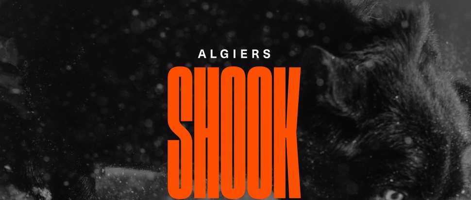 Algiers - Shook