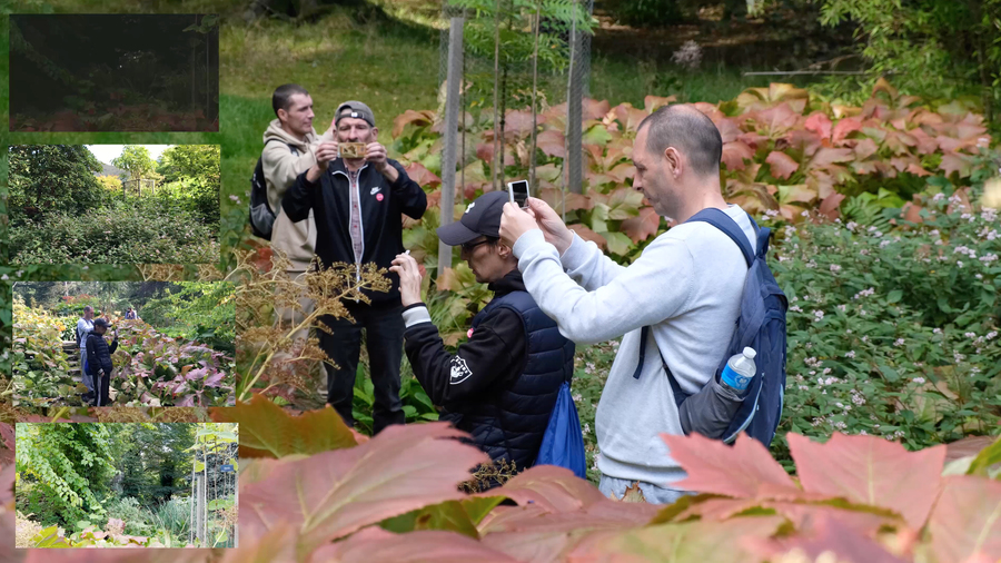 Four people are taking photos in a garden using their phones. Four inset images on the left of the image appear to show the results of those photographs.