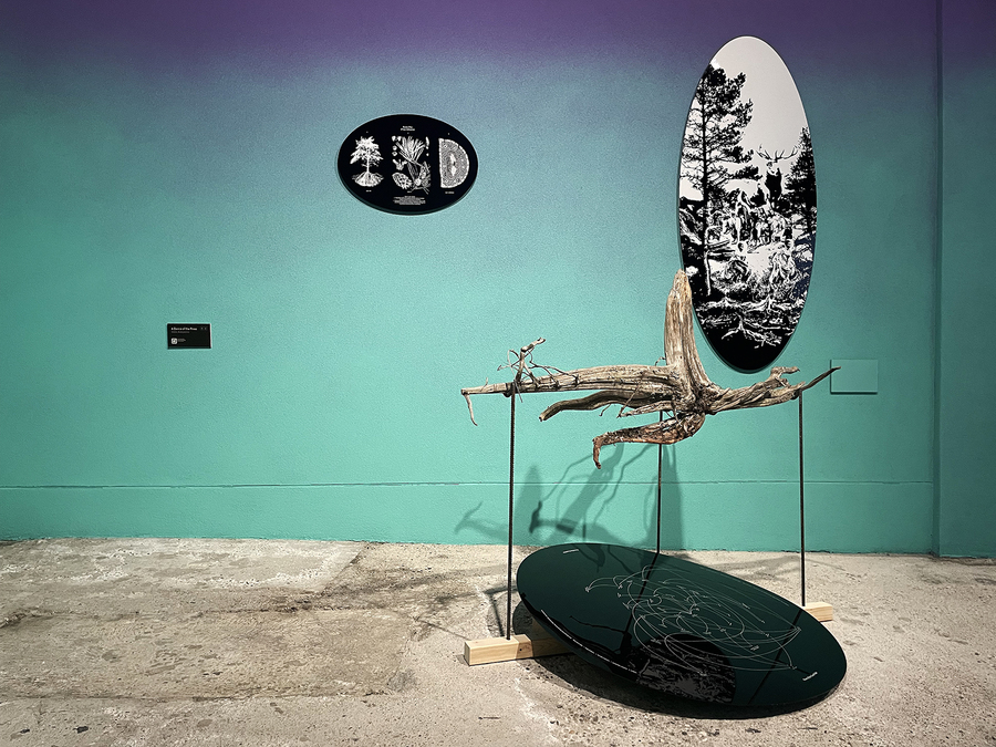 A piece of driftwood suspended above a black oval, with two oval canvases depicting plants and trees on the wall behind.