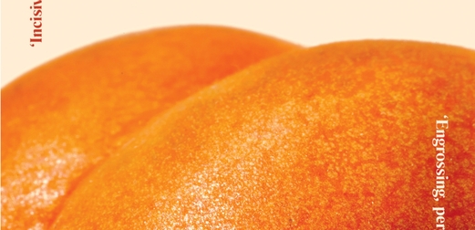 Everything You Need to Know About Sumo Oranges - TheSkinny