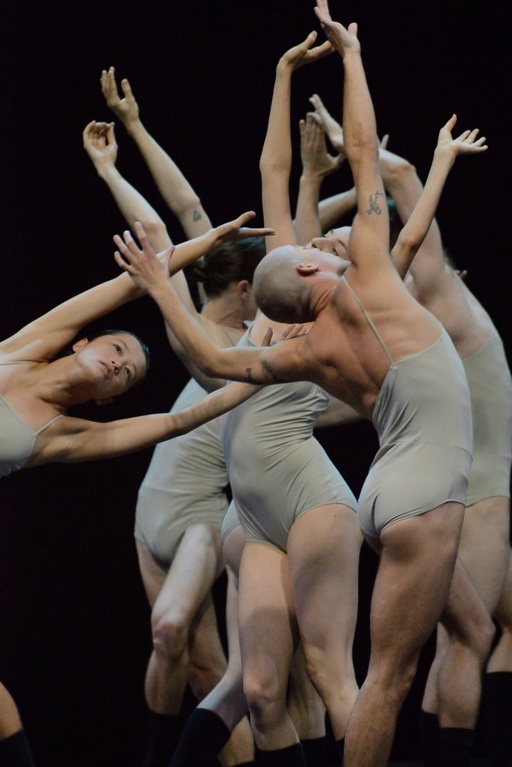 Dancers in grey leotards stand in a straight line.