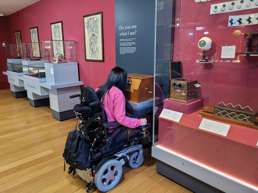 A woman, sitting in a power wheelchair, looks at a museum exhibit. She wears a bright pink top.