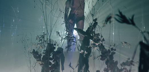 146827 banner