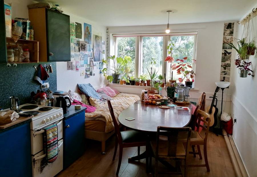 A kitchen room at the Edinburgh Student Housing Co-op. A kitchenette is visible on the left of the room, with a dining table, sofa and chairs by the window. The windowsill is covered in small houseplants.