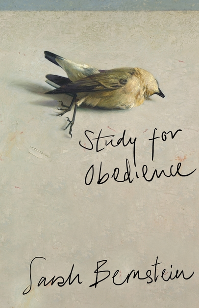 Jacket cover of Study For Obedience by Sarah Bernstein.