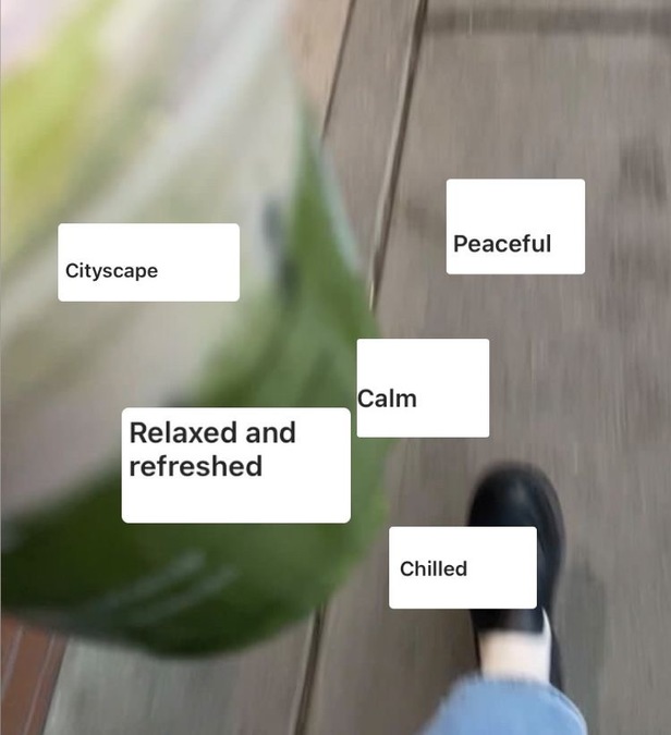 A blurred photograph showing feet walking, with the words 'Cityscape' 'calm' 'chilled' 'refreshed and relaxed' and 'peaceful' overlaid in white boxes.