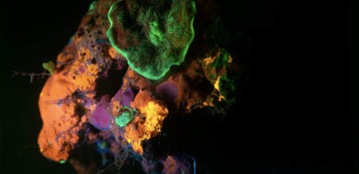 148453 banner