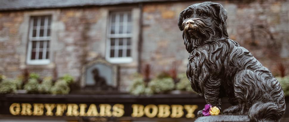 Famous animals from Edinburgh that are not part of Greyfriars Bobby – The Skinny
