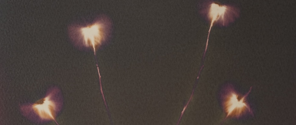 Theo Bleak – Bad Luck Is Two Yellow Flowers