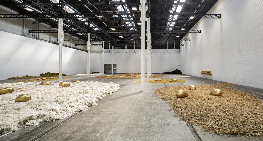 Solange Pessoa, Pilgrim Fields, photo by Keith Hunter