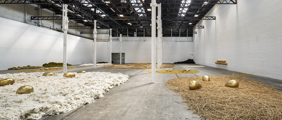 Solange Pessoa, Pilgrim Fields, photo by Keith Hunter