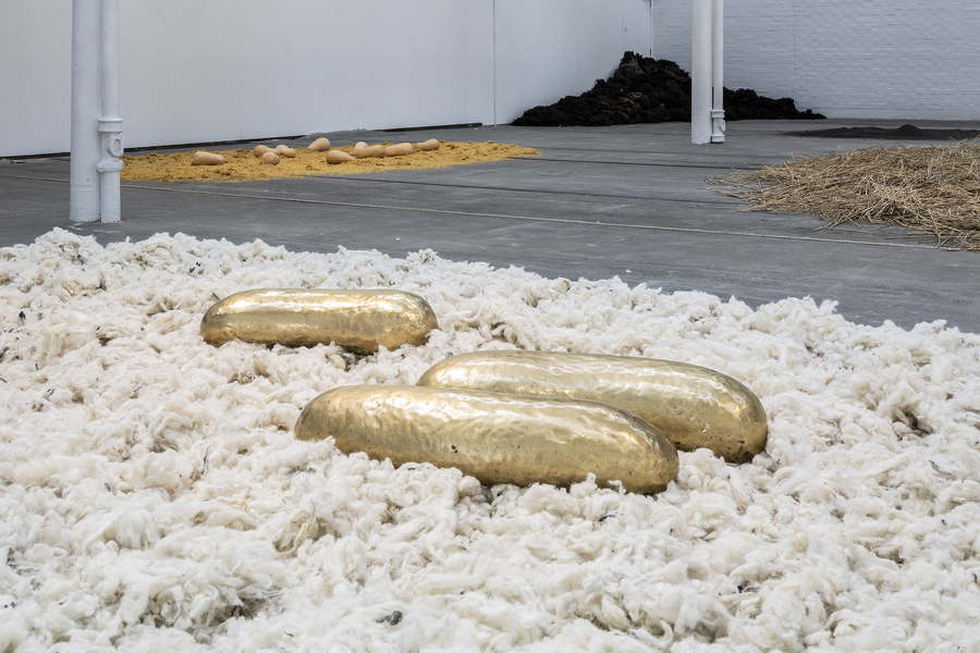 Solange Pessoa, Pilgrim Fields. Photo: Keith Hunter