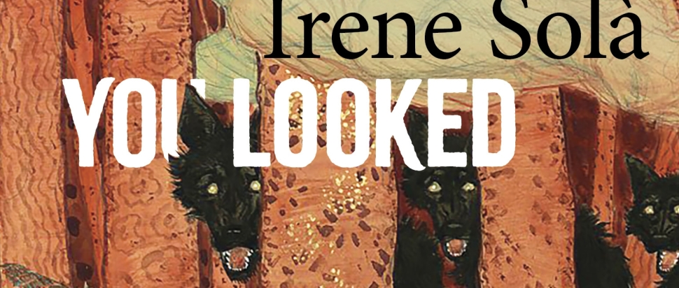 I Gave You Eyes and You Looked Towards Darkness by Irene Solà