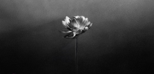 Little Simz - Lotus album review: The Skinny