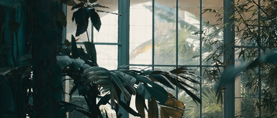 Royal Botanic Garden