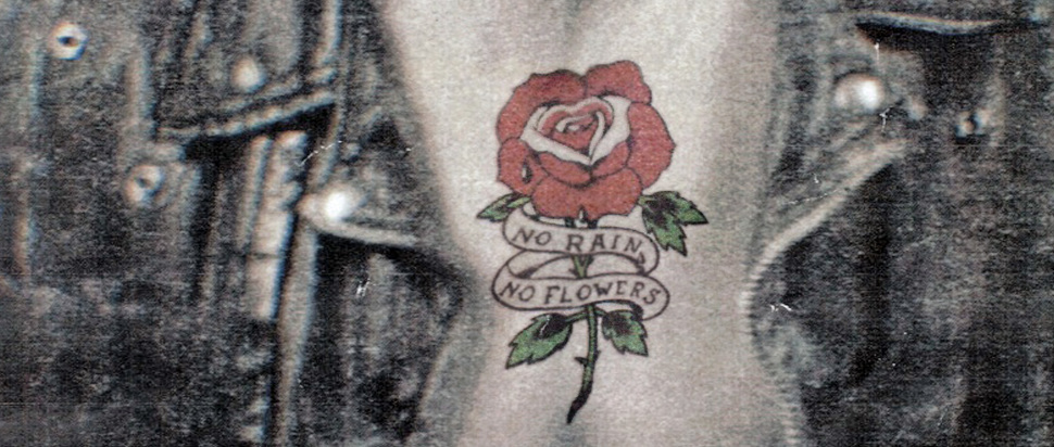The Black Keys – No Rain, No Flowers