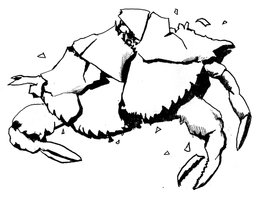 Black and white drawing of a smashed crab carapace.