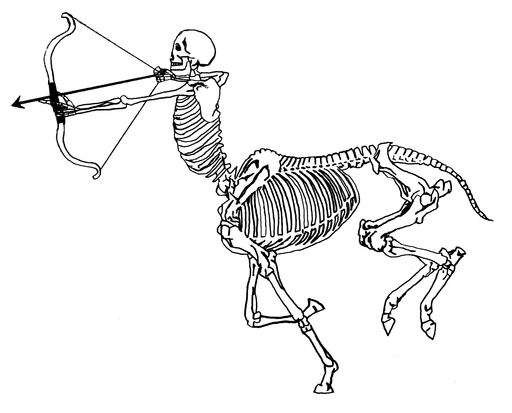 A black and white drawing of a half human, half horse skeleton wielding a crossbow.