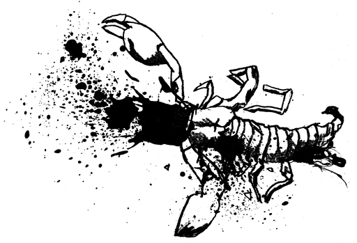 A black and white drawing of a headless scorpion.
