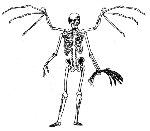 Black and white drawing of a winged skeleton holding a sheaf of wheat.