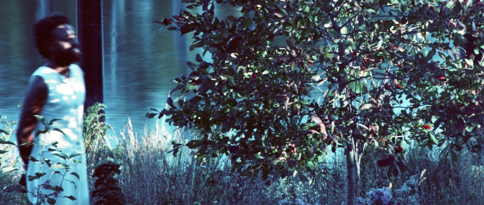 JJJJJEROME Ellis - Vesper Sparrow