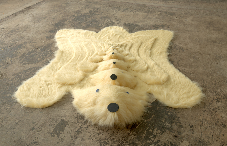 Photo of a white rug which resembles a stuffed toy bear.