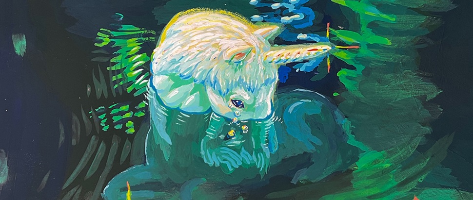 toso toso – toso toso