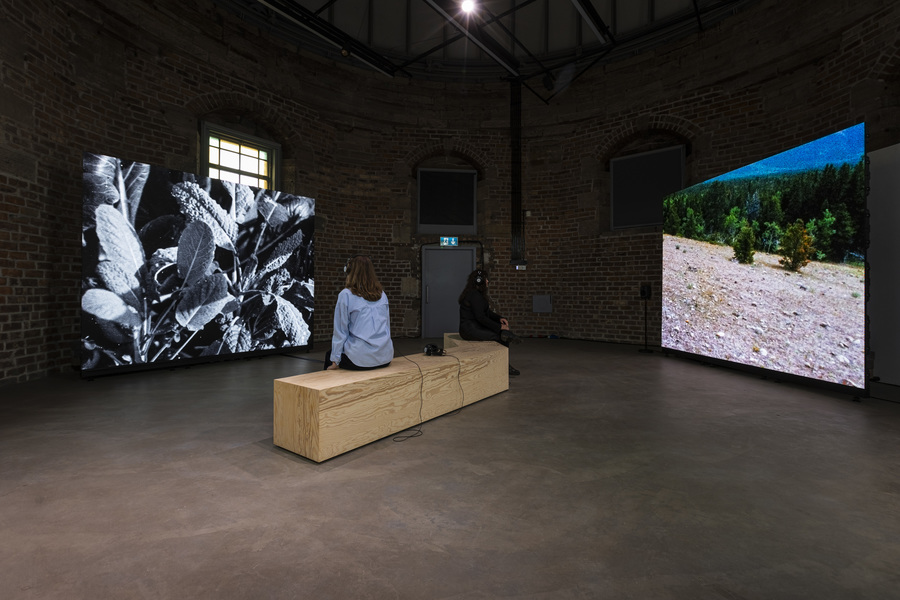 Highland Embassy by Shen Xin