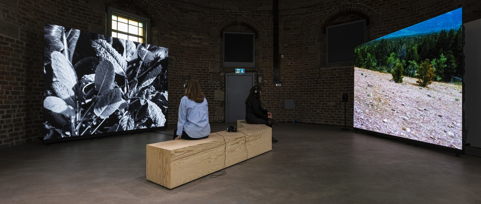 Highland Embassy by Shen Xin