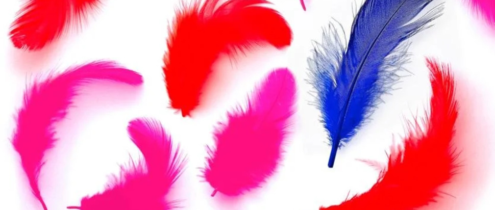 Terry Dactyl by Mattilda Bernstein Sycamore