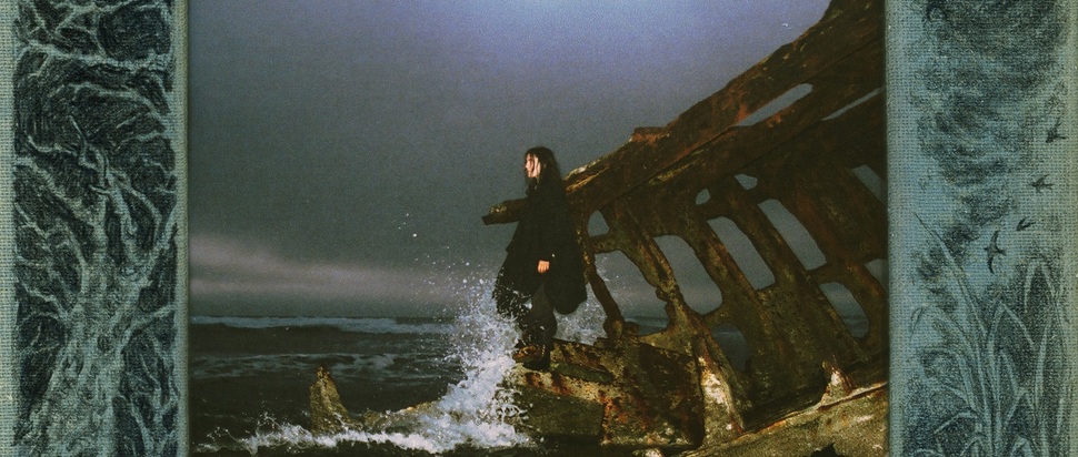 Searows – Death in the Business of Whaling