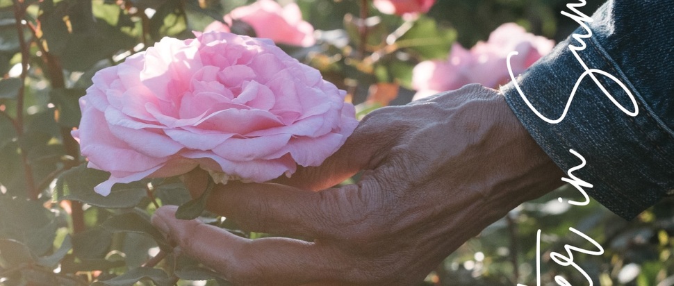 Beverly Glenn-Copeland – Laughter in Summer