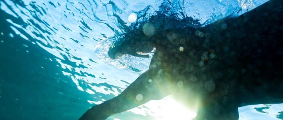 Dream Nails – You Wish