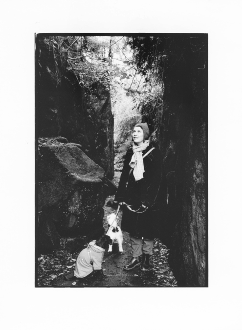 Ilana Halperin, portrait by Alan Dimmick (2017)