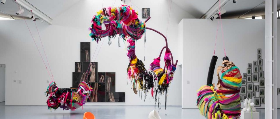 We Contain Multitudes at Dundee Contemporary Arts