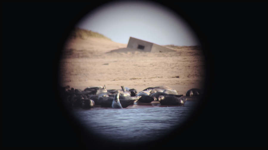 Scottish Art Highlights: March 2026