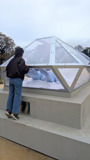 The Spell or The Dream (2025), Tai Shani